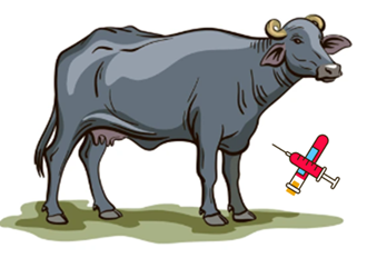 Journal Article Cites HemoVoid™ for Proteome Profiling of Dairy Buffalo Red Cells